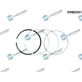 Compre Jogo de segmentos do êmbolo da DR.MOTOR AUTOMOTIVE DRM2501 a um preço baixo por 48,85 €