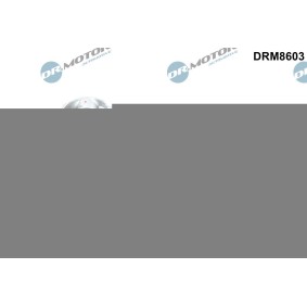 Achetez des Piston DR.MOTOR AUTOMOTIVE DRM8603 à prix pour 174,53 €