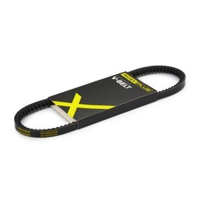 Achetez des Courroie trapézoïdale de chez RIDEX PLUS en ligne pour Jumpy I Van (BS, BT, BY, BZ) à prix modérés