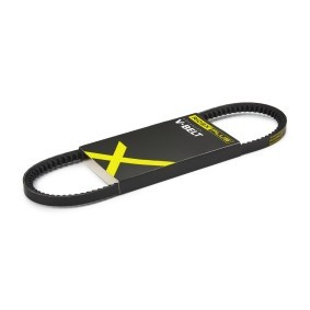 Achetez des Courroie trapézoïdale de chez RIDEX PLUS en ligne pour Jumpy I Van (BS, BT, BY, BZ) à prix modérés