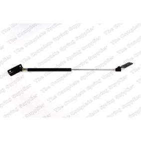 Compre Maletero de LESJÖFORS online para IGNIS (FH) a precios moderados