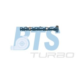 Acquista Albero a camme da BTS TURBO CP10243 a buon mercato per soli 101,73 €