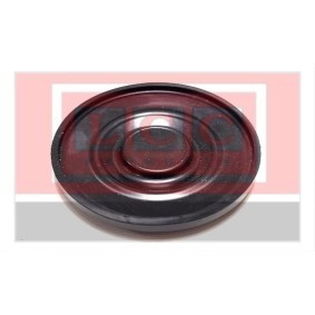 Kurbelgehäuseentlüftung von LCC für MEGANE II (BM0/1_, CM0/1_) günstig online kaufen