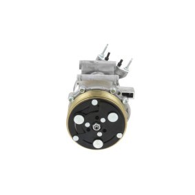 Acquista Compressore aria condizionata da BV PSH 090.215.070.311 a buon mercato per soli 245,52 €