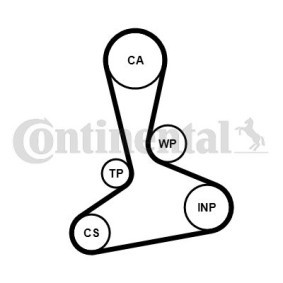 Achetez des Kit de distribution + pompe à eau CONTITECH CT1242WP1 à prix pour 228,46 €