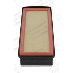 Luftfilter CAF101255P