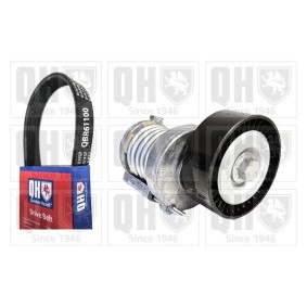 Achetez des Jeu de courroies trapézoïdales à nervures QUINTON HAZELL QDK172 à prix pour 124,84 €