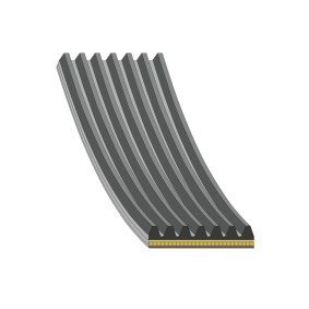 Acquista Cinghia servizi da FEBI BILSTEIN 192642 a buon mercato per soli 14,84 €