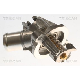 Kühlwasserthermostat 8620 82002