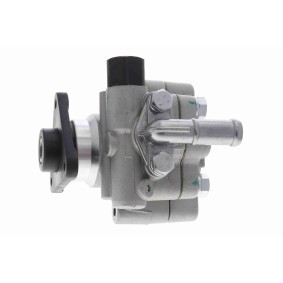 Servopumpe V46-1377