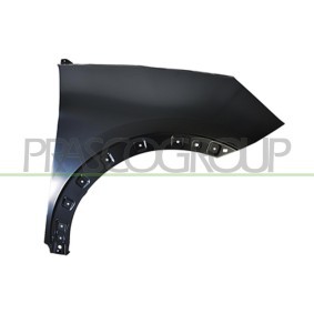 Kotflügel FD6203013