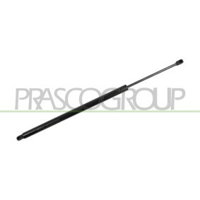 Heckklappendämpfer für VW von PRASCO