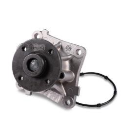 Achetez des Pompe à eau HEPU P131 à prix pour 63,72 €