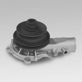 Wasserpumpe P319