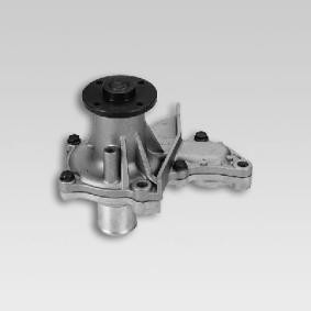 Achetez des Pompe à eau HEPU P761 à prix pour 86,29 €