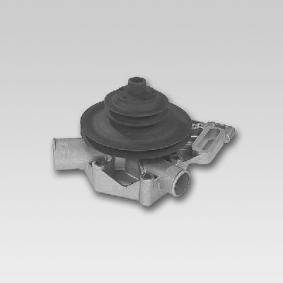 Achetez des Pompe à eau HEPU P830 à prix pour 153,76 €