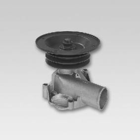 Achetez des Pompe à eau HEPU P833 à prix pour 117,89 €