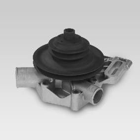 Achetez des Pompe à eau HEPU P881 à prix pour 107,28 €