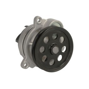 Achetez des Pompe à eau THERMOTEC D1G060TT à prix pour 43,93 €