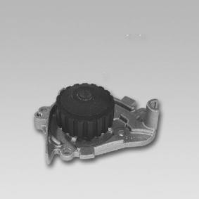 Achetez des Pompe à eau GK 981739 à prix pour 44,36 €