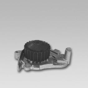 Achetez des Pompe à eau GK 981748 à prix pour 63,78 €