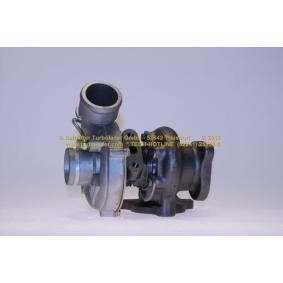 Compre Turbocompressor da SCHLÜTTER TURBOLADER 172-02990 a um preço baixo por 1294,77 €