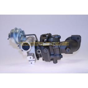 Köp Turboaggregat av SCHLÜTTER TURBOLADER 172-05325 till det låga priset 17661,47 kr