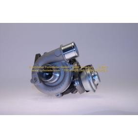 Turbolader 172-12020 für RAV 4 IV (ZSA4_, ALA4_) für 1046,34 CHF
