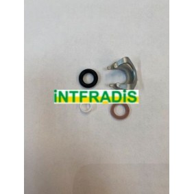 Compre Jogo de juntas, injectores da INTFRADIS 24001 a um preço baixo por 9,91 €