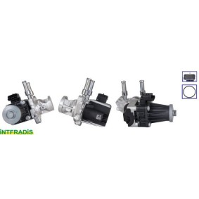 Comprar Válvula EGR de INTFRADIS 25868 a bajo precio de 179,13 €