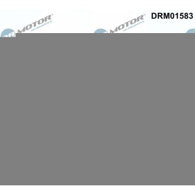 Acquista Regolatore albero a camme da DR.MOTOR AUTOMOTIVE DRM01583 a buon mercato per soli 132,49 €