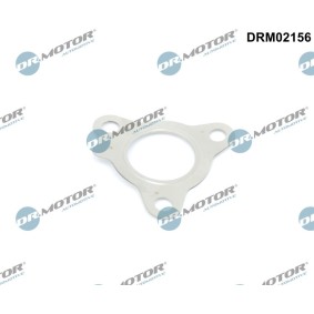 Turboladerdichtung von DR.MOTOR AUTOMOTIVE