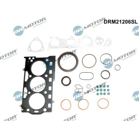Dichtungsvollsatz, Motor DRM21206SL