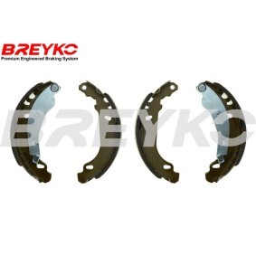 Bremsbackensatz W8211