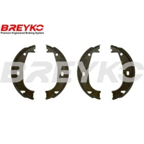 Bremsbackensatz W8594