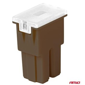 Sicherung von AMiO