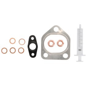 Acquista Kit montaggio turbocompressore da EVORON EVMK0004 a buon mercato per soli 15,24 €