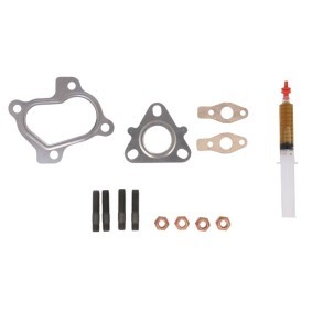 Acquista Kit montaggio turbocompressore da EVORON EVMK0170 a buon mercato per soli 49,00 €
