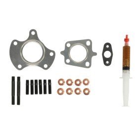 Turboladerdichtung von EVORON für VOYAGER IV (RG, RS) günstig online kaufen