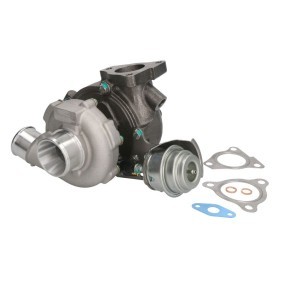 Turbolader EVTC0245 von EVORON günstig für 880,68 € online kaufen