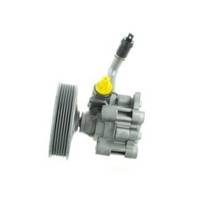 Achetez des Pompe de direction assistée SPIDAN GKNY10158 à prix pour 378,66 €