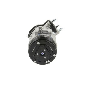 Acquista Compressore aria condizionata da BV PSH 090.845.022.876 a buon mercato per soli 326,01 €