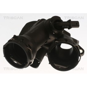 Kühlwasserthermostat von TRISCAN
