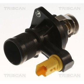 Kühlwasserthermostat von TRISCAN