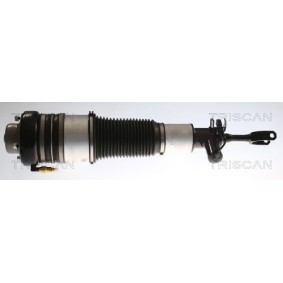 Acquista Ammortizzatore pneumatico da TRISCAN 8720 29103 a buon mercato per soli 630,49 €