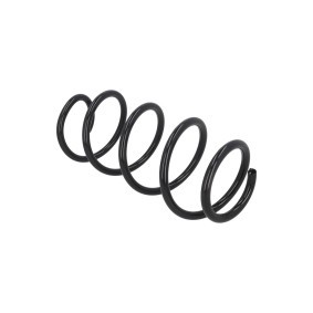 Fahrwerksfeder 2110399
