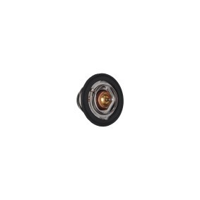 Achetez des Thermostat d'eau KAMOKA 7710091 à prix pour 13,13 €