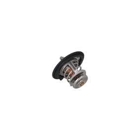 Achetez des Thermostat d'eau KAMOKA 7710105 à prix pour 17,68 €