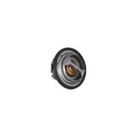 Kühlwasserthermostat 7710166