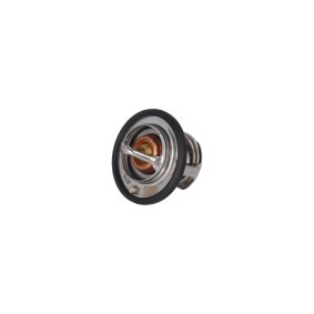 Achetez des Thermostat d'eau KAMOKA 7710279 à prix pour 43,46 €